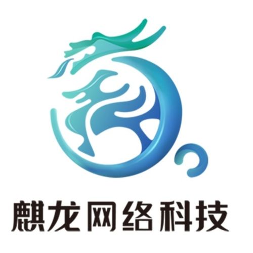 广州麒龙网络科技 引领广州网络技术服务新篇章